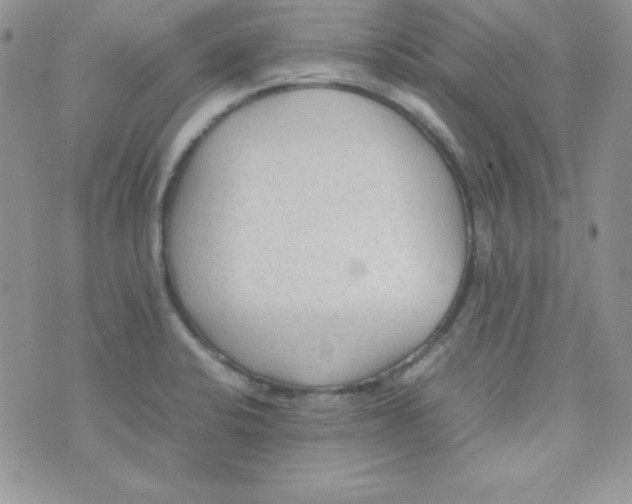 X0000074931424200609291746