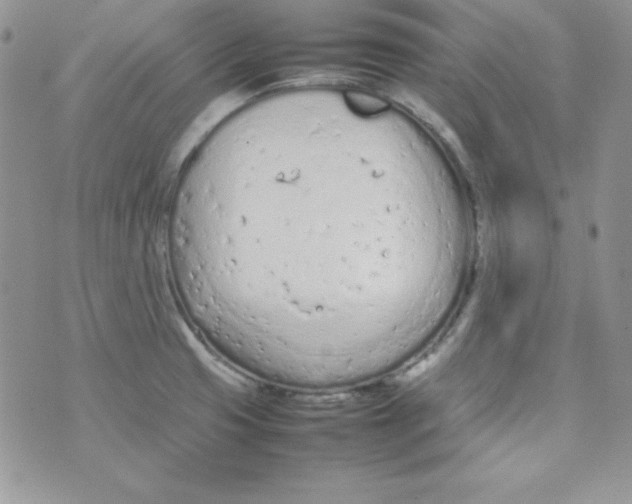 X0000074931425200609291746