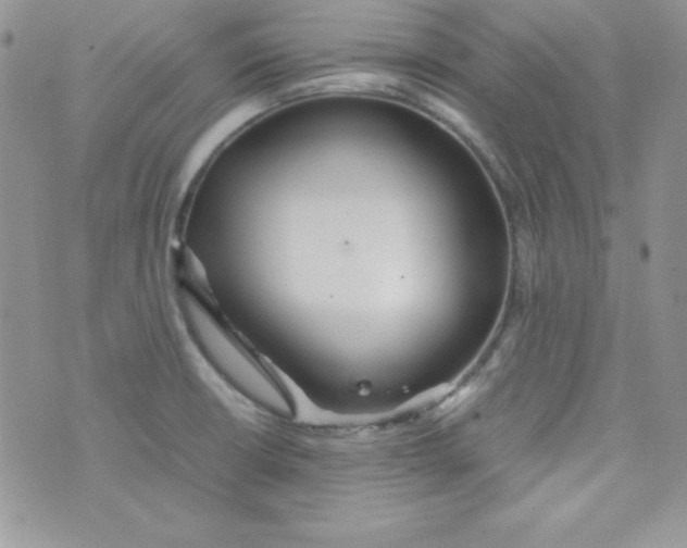 X0000074931426200609291746