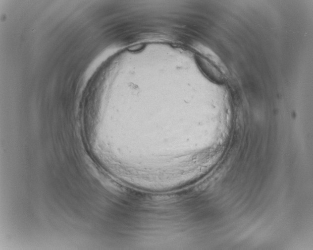 X0000074931427200609291746