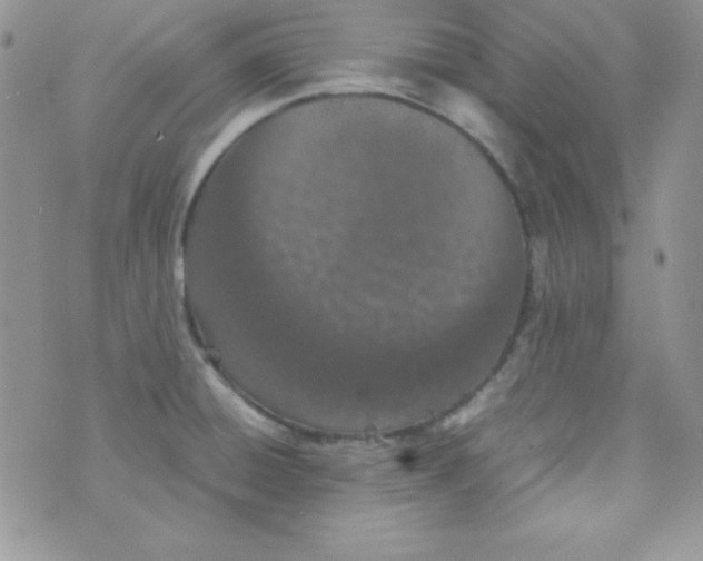 X0000074931428200609291746