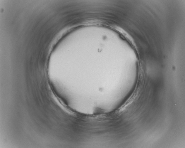 X0000074931429200609291746