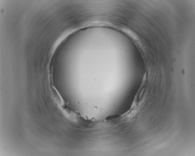 X0000074931430200609291746