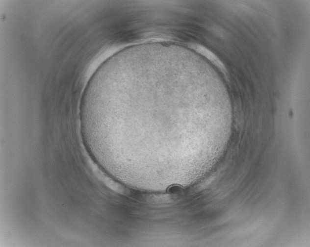 X0000074931431200609291746