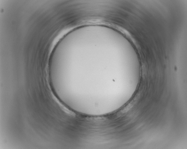 X0000074931432200609291746