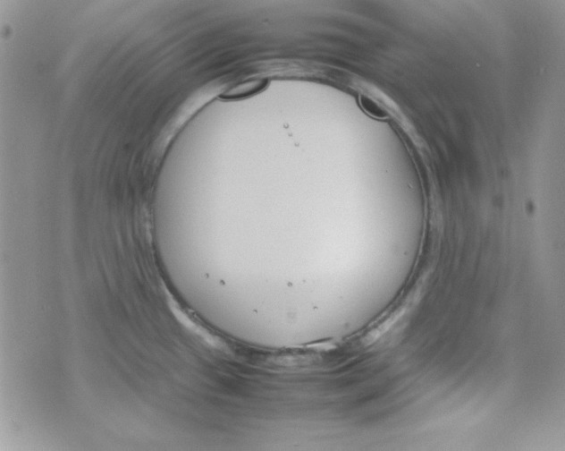 X0000074931433200609291746