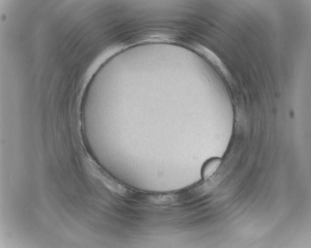 X0000074931435200609291746