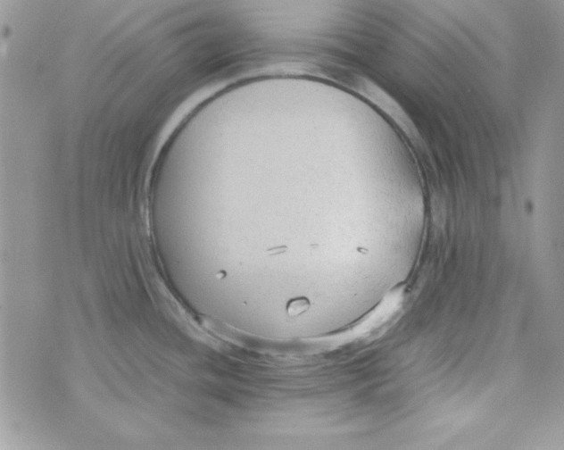 X0000074931436200609291746