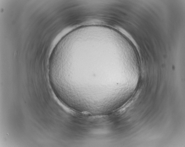 X0000074931437200609291746