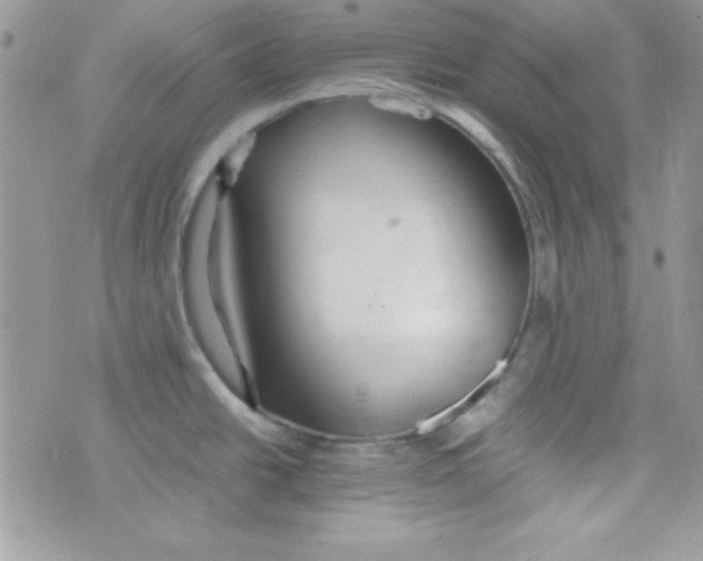 X0000074931438200609291746