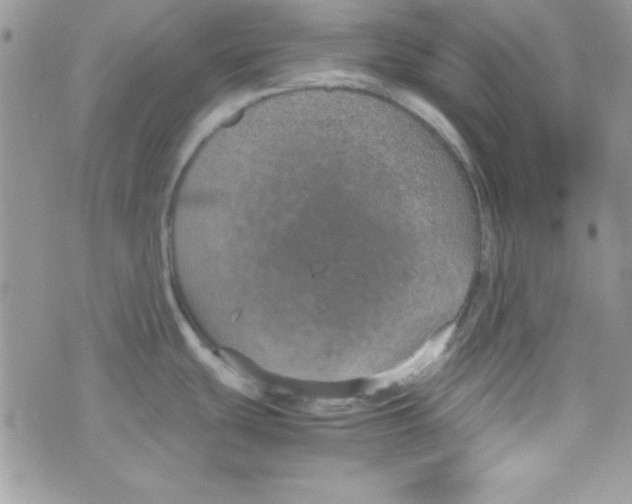 X0000074931439200609291746