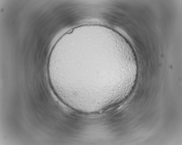 X0000074931440200609291746