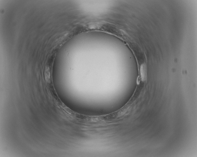 X0000074931443200609291745