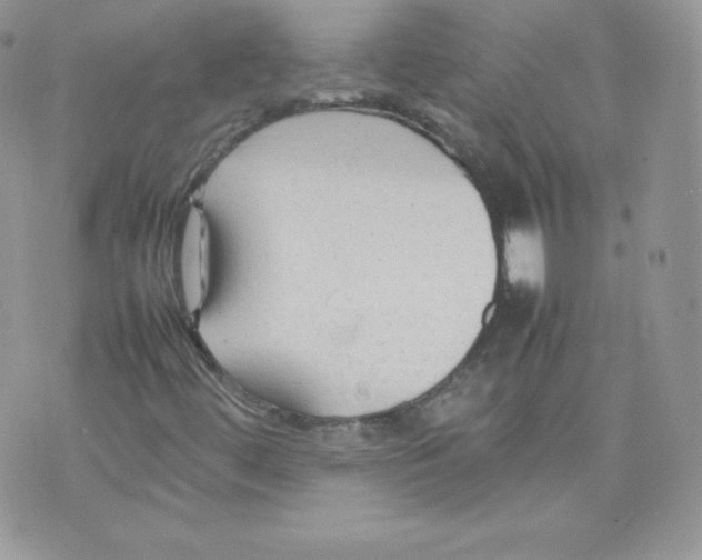 X0000074931444200609291745