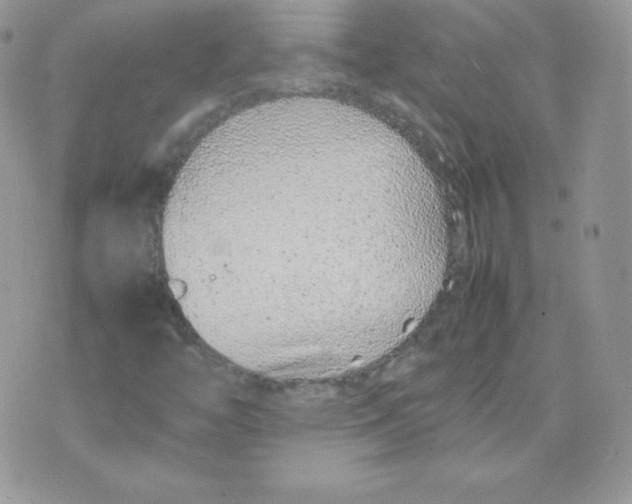 X0000074931446200609291745