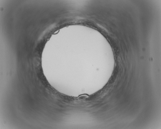 X0000074931447200609291745