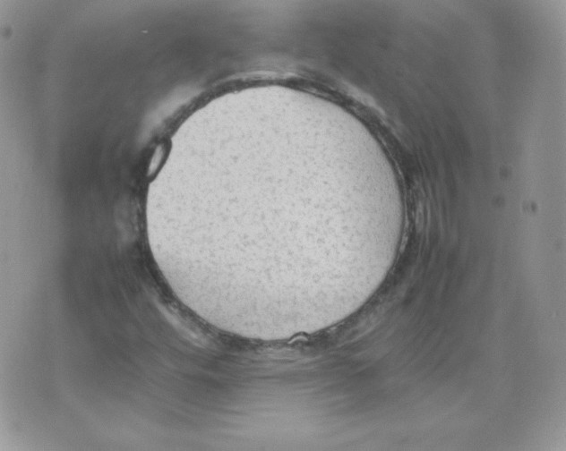 X0000074931448200609291745