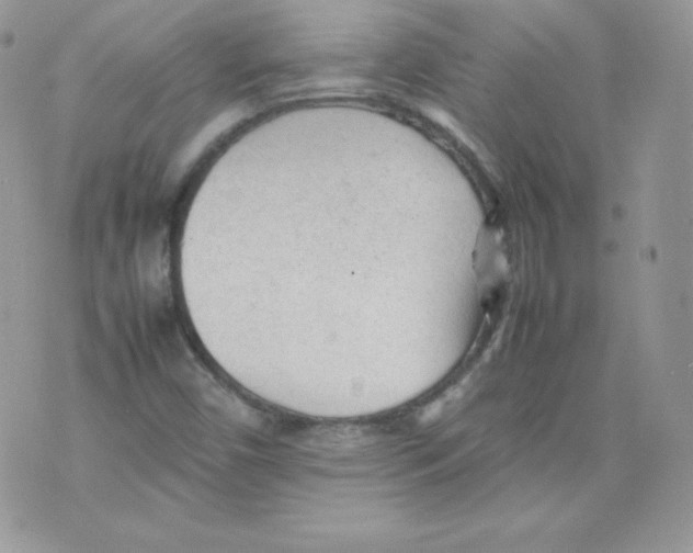 X0000074931450200609291745