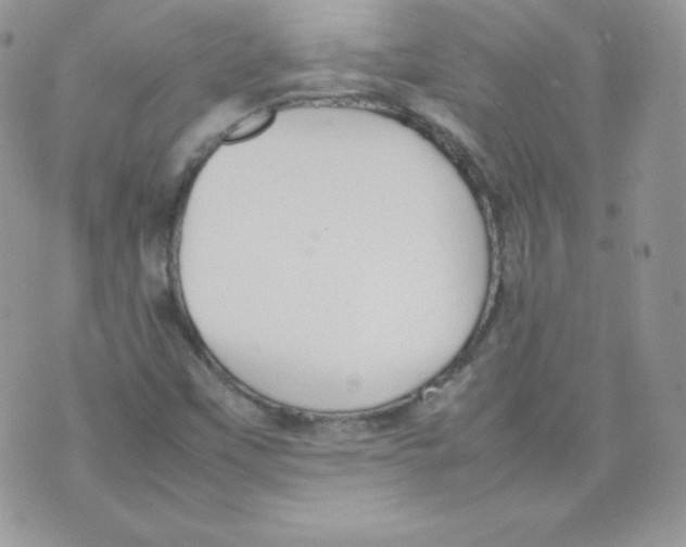 X0000074931451200609291745