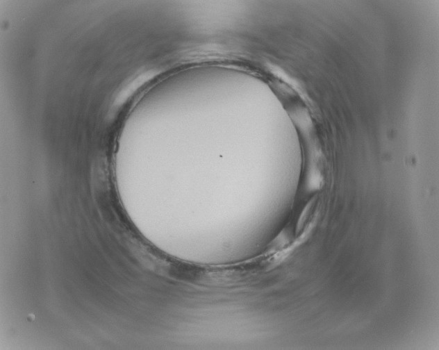 X0000074931453200609291745