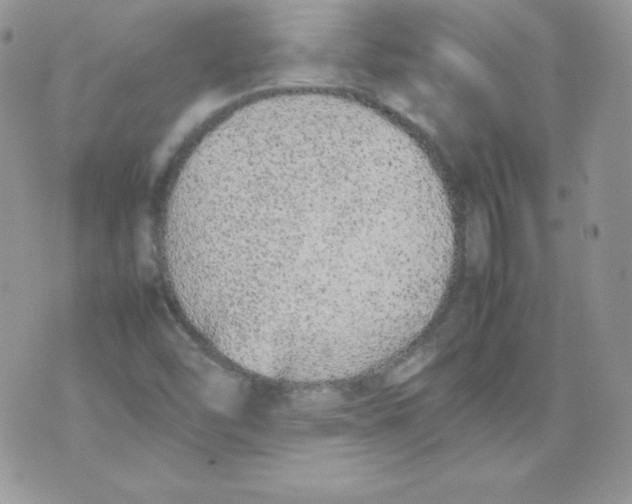 X0000074931454200609291745