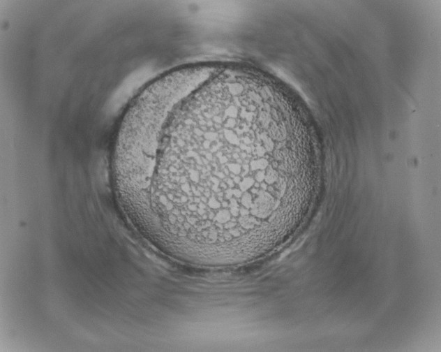 X0000074931455200609291745