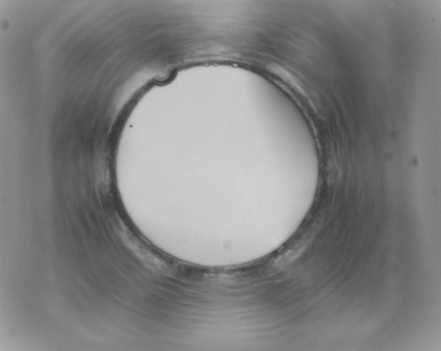 X0000074931458200609291745