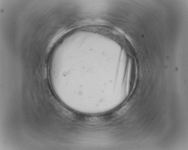 X0000074931459200609291745