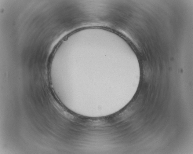 X0000074931460200609291745