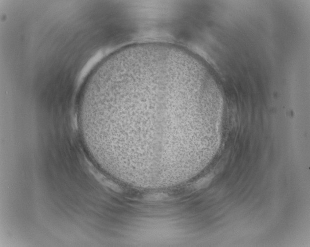 X0000074931462200609291745