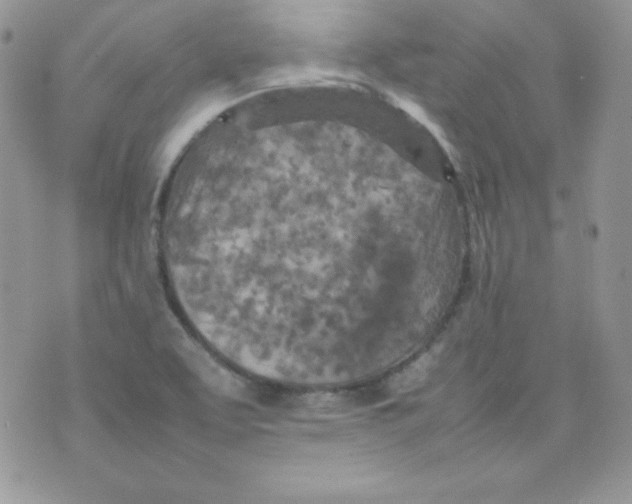 X0000074931463200609291745