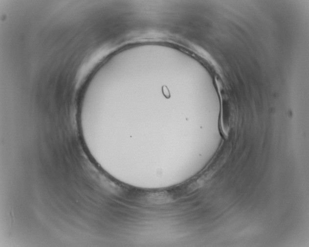 X0000074931464200609291745