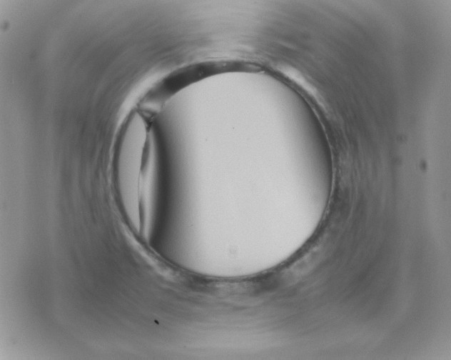 X0000074931469200609291745