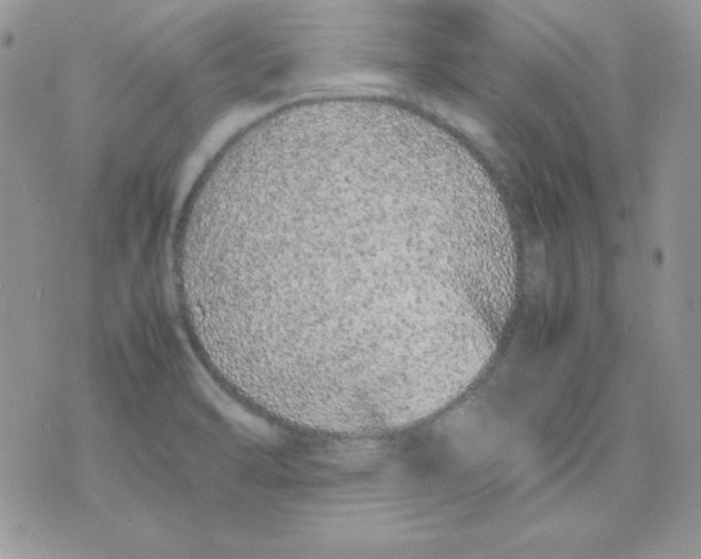 X0000074931470200609291745