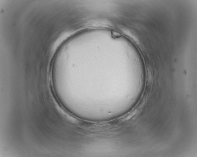 X0000074931471200609291745