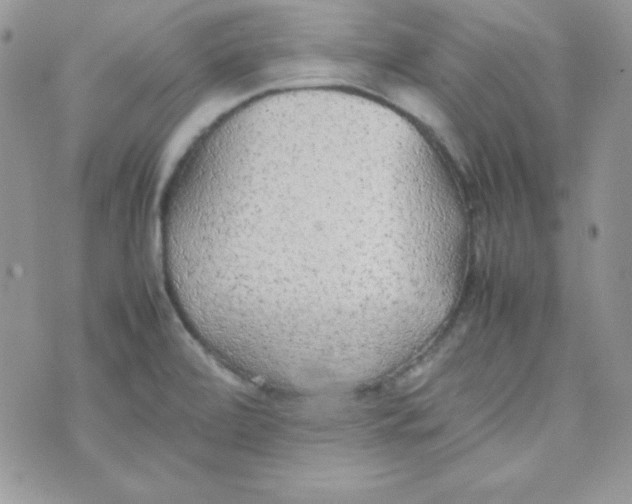 X0000074931472200609291745