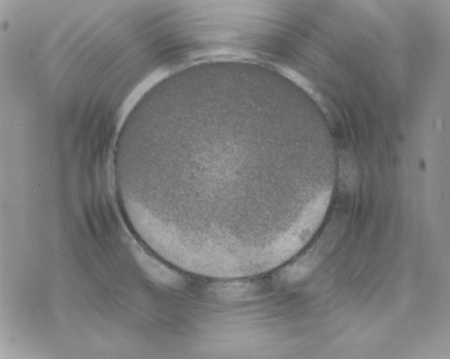 X0000074931474200609291745