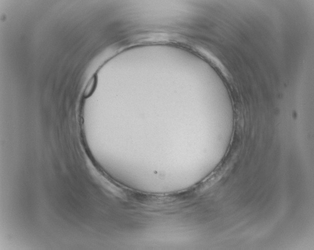 X0000074931475200609291745