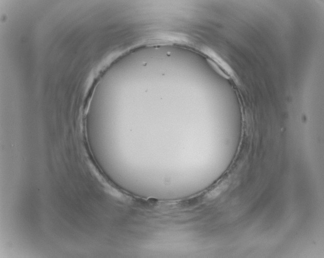 X0000074931477200609291745