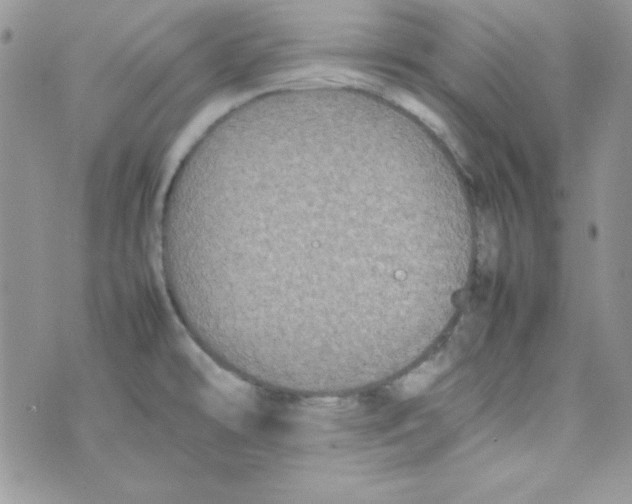 X0000074931478200609291745