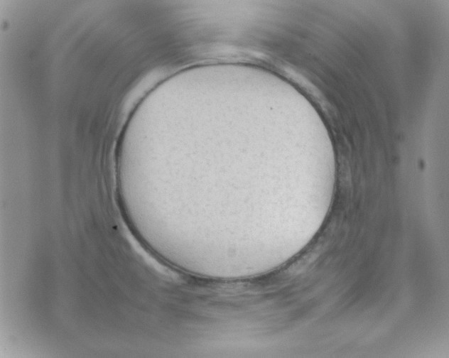 X0000074931479200609291745