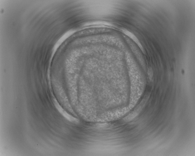 X0000074931482200609291744