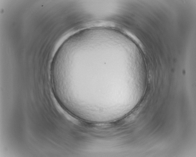 X0000074931483200609291744