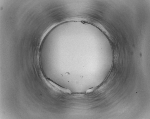 X0000074931484200609291744