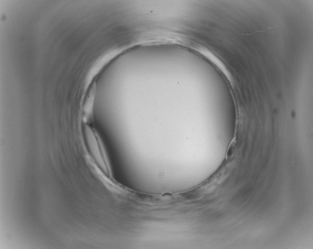 X0000074931485200609291744