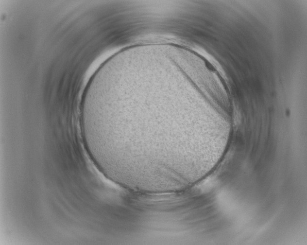 X0000074931486200609291744