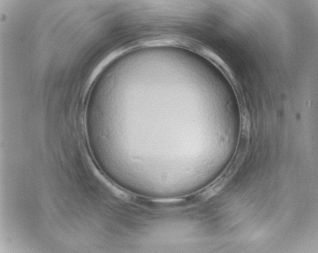 X0000074931487200609291744