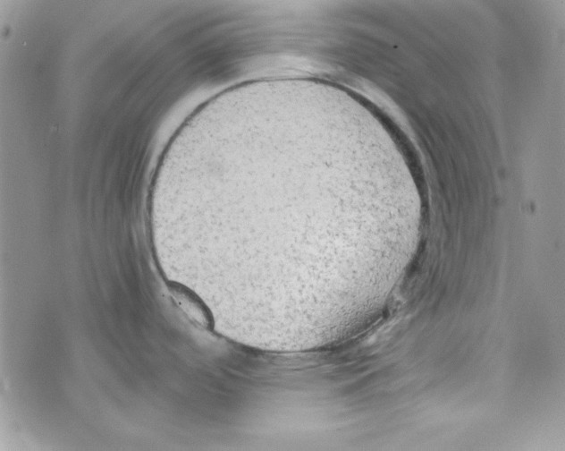 X0000074931488200609291744