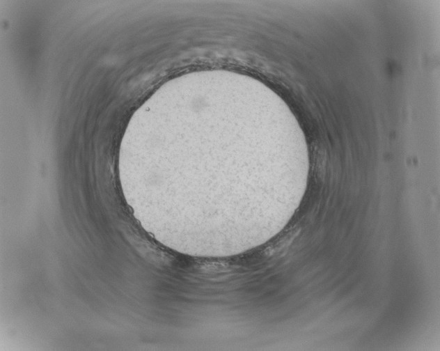 X0000074931489200609291744