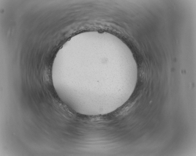 X0000074931490200609291744